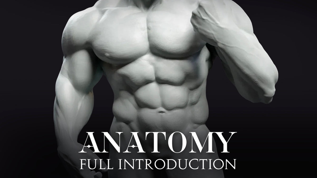 Introduction to Anatomy
