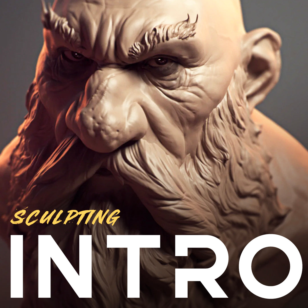 Introduction to Sculpting