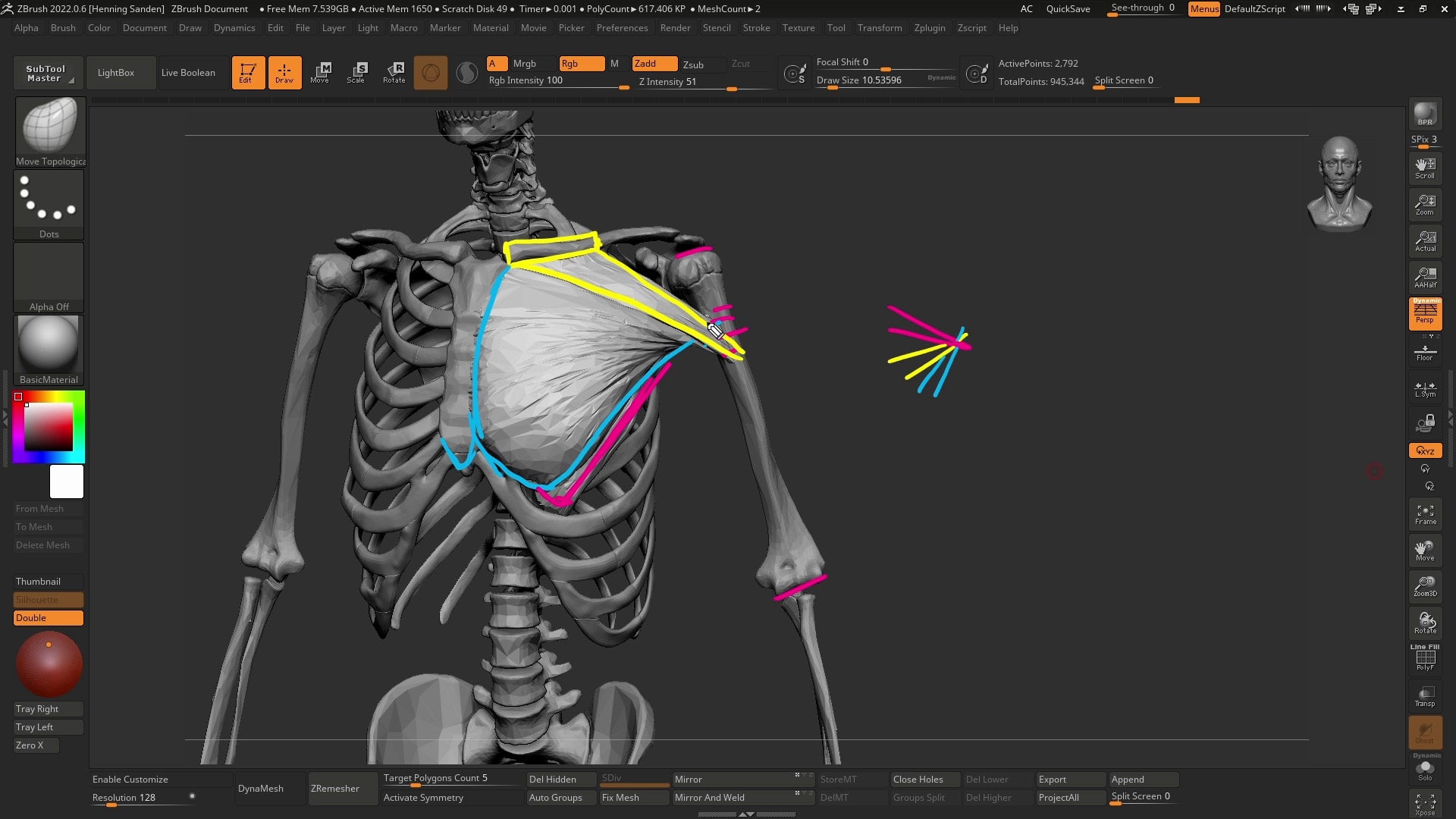 Introduction to Anatomy