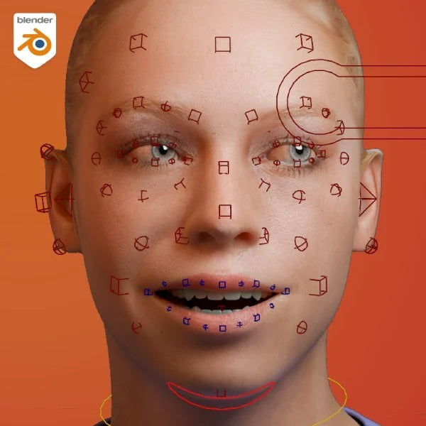 Rigify Face Rigging