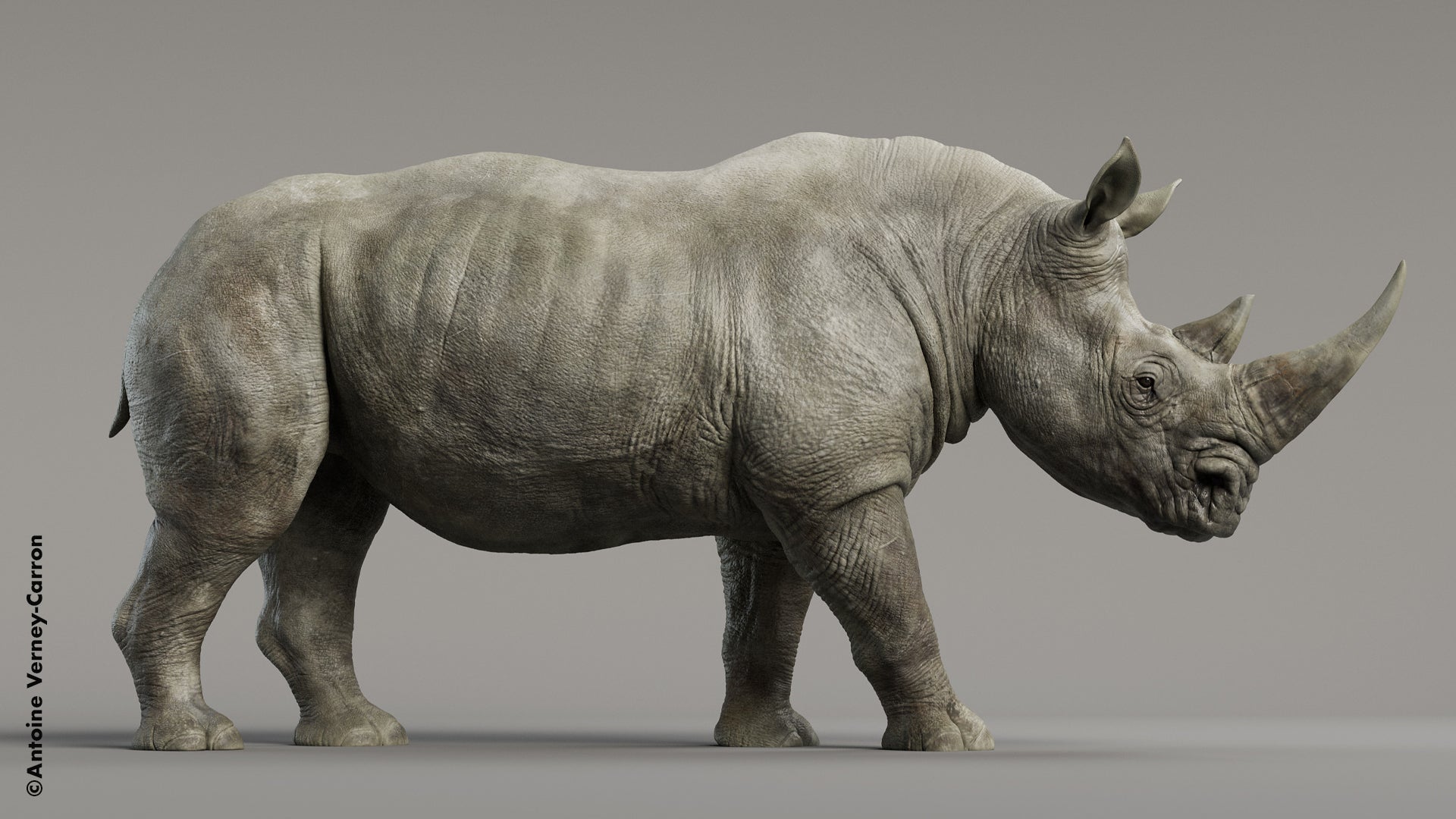 FlippedNormals Skin Kit